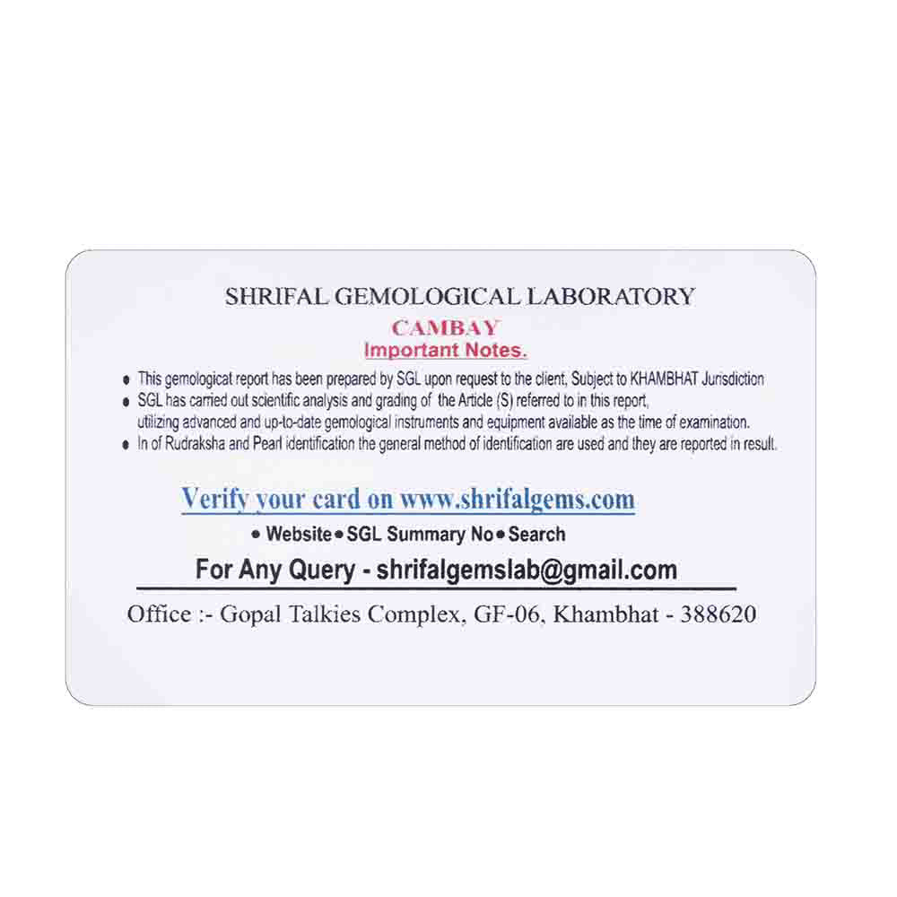 Beaded Rudraksha Silver Chain