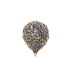 999 Silver Shankh Gift Box