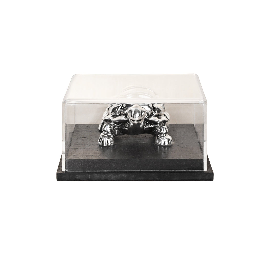 999 Silver Tortoise Idol