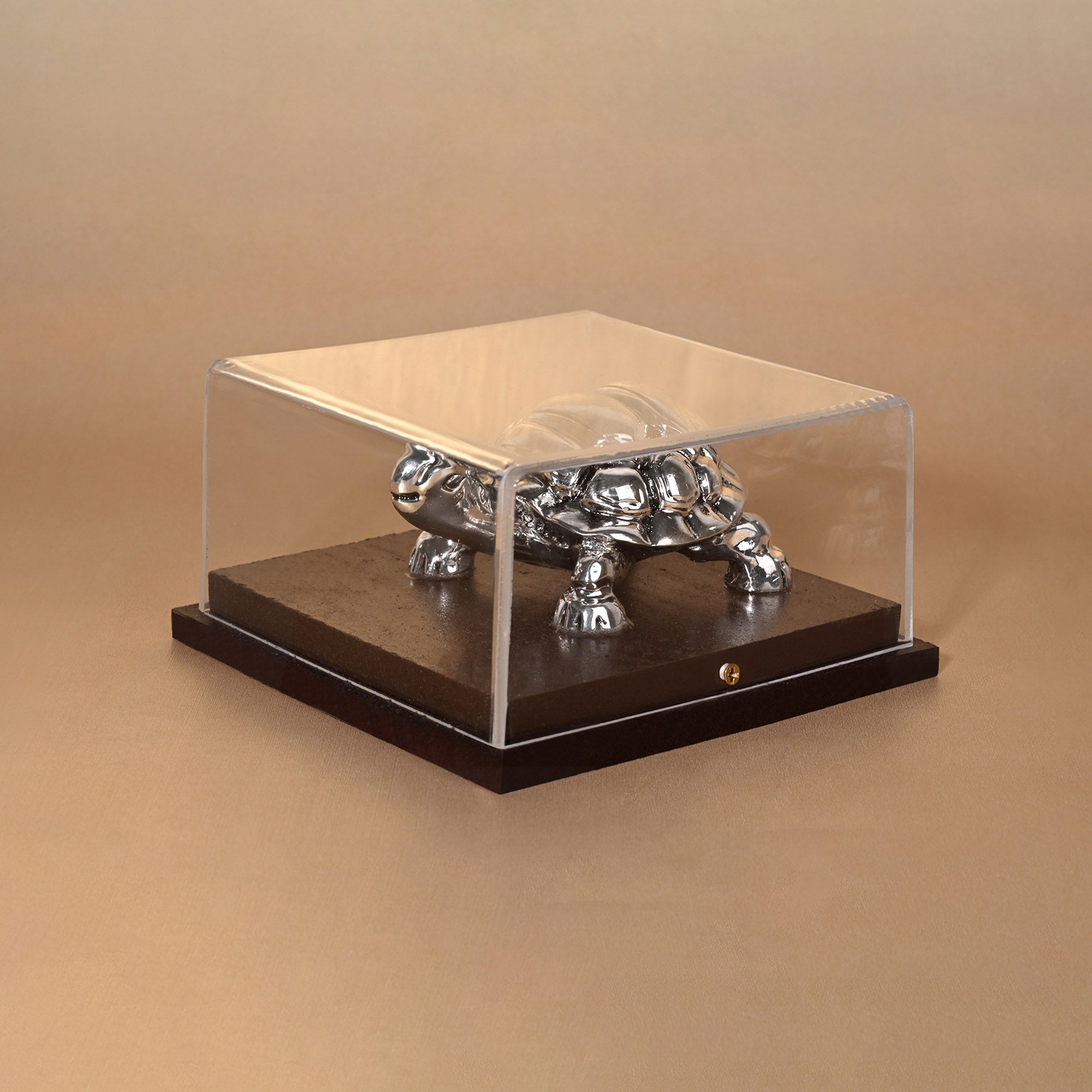 999 Silver Tortoise Idol